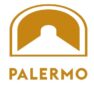 palermoconstrucciones.com.mx